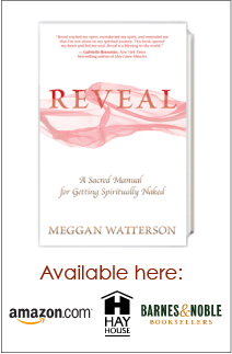 REVEAL book cover