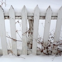 1q-2013 snow on picket fence
